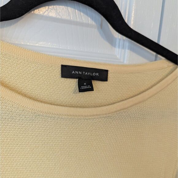 Ann Taylor Knit Top Women’s Medium Light Yellow w/ Navy Ruffle Sleeves - Picture 2 of 5